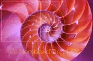 image de couverture de l'article sur le nombre d'or